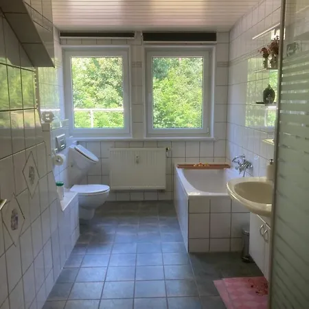 Апартаменты Immensee *