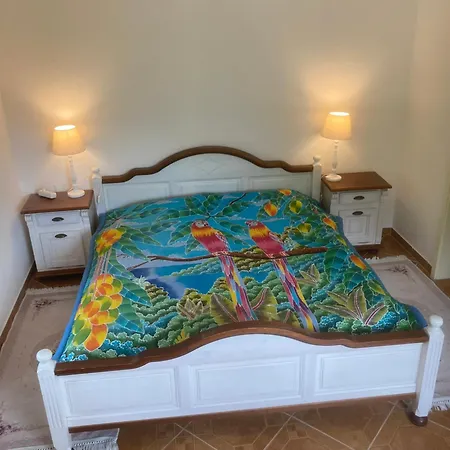 Immensee Апартаменты Ronshausen