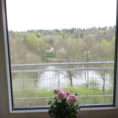 Immensee Apartment *
